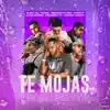 Te Mojas song lyrics