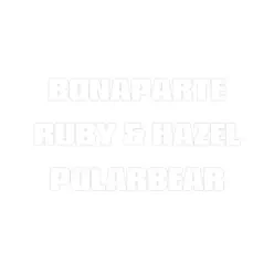 Polarbear (with Ruby & Hazel) - Single - Bonaparte Polarbear (with Ruby & Hazel) - Single - Bonaparte