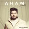 AHAM (Acoustic Version) - Goldie Sohel lyrics