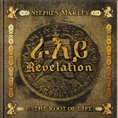 Stephen Marley - Made In Africa
