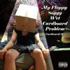 My Floppy Soggy Wet Cardboard Problem - Single album lyrics, reviews, download