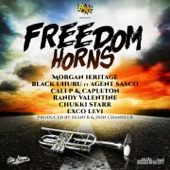 Freedom Horns artwork
