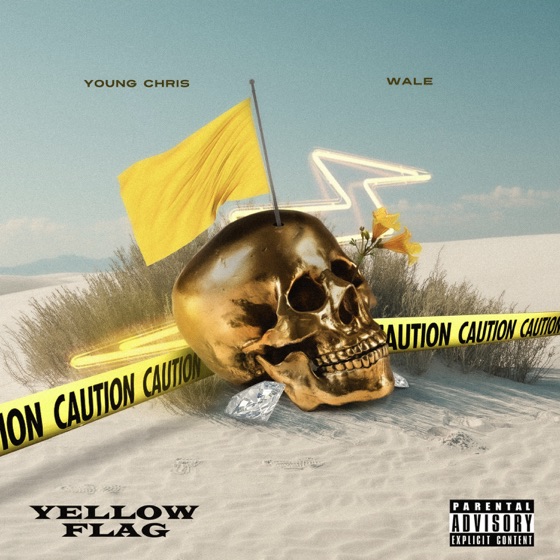 Cover artwork for Yellow Flag