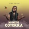 No Me de Cotorra - Winel The King lyrics