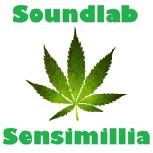 Sensimillia