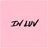 In Luv (feat. Baulm.) artwork