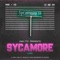 Sycamore Lane - Jwalttz lyrics