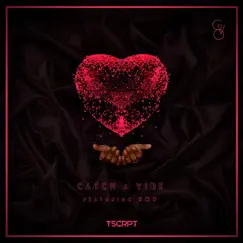 Catch a Vibe (feat. Rod) - Single by TSCRPT album reviews, ratings, credits