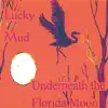 Underneath the Florida Moon album lyrics, reviews, download