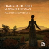 Schubert: Piano Sonatas Vol. 6 artwork