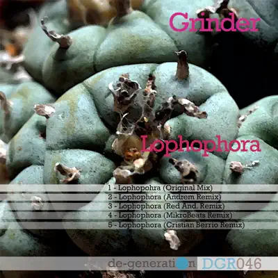 Lophophora - Grinder