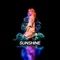 Sunshine - Transviolet lyrics