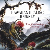 The Continuing Journey artwork