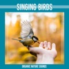 Singing Birds