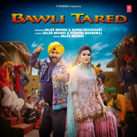 Daler Mehndi & Sapna Choudhary - Bawli Tared - Single artwork