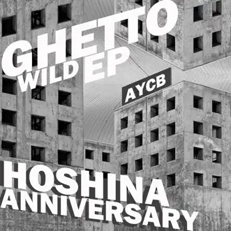 Duke by Hoshina Anniversary song reviws