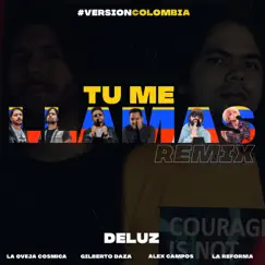 Tu Me Llamas (Remix) - Single by DeLuz album reviews, ratings, credits