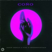 Coño artwork