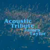 Acoustic Tribute to James Taylor (Instrumental) album lyrics, reviews, download