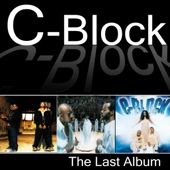 The Last Album artwork