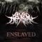 Enslaved (feat. Rocky Doyle & Shane Sabourin) - Beyond Deviation lyrics