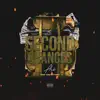 Second Chances (feat. Dre Butterz & SomeArabGuy) - Single album lyrics, reviews, download