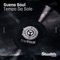 Tempo Da Solo (David Vendetta Remix) - Sueno Soul lyrics
