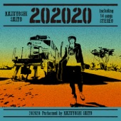 202020 artwork