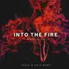 Into the Fire (feat. Drone) - Single album lyrics, reviews, download