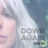 Down Again - Single