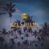 Open Palms - Single album lyrics, reviews, download