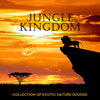 Jungle Kingdom - Collection of Exotic Nature Sounds: Therapy & Healing Relaxation - Exotic Nature Kingdom