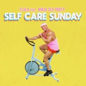 FLULA - Self Care Sunday (feat. Ninja Sex Party)