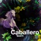Caballero - Santi lyrics