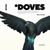 Doves artwork