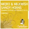 Sandy Horns (Sunrise Festival Afterparty 2012) - Single album lyrics, reviews, download