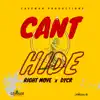 Stream & download Can't Hide - Single