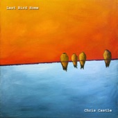 Chris Castle - Both Ends of a Gun