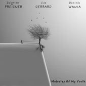 Preisner: Melodies of My Youth artwork