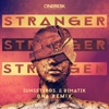 Stranger (DNA Remix) - Single