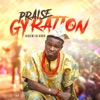 Praise Gyration - Single