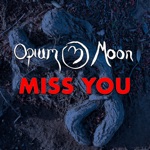 Opium Moon - Miss You (feat. Lili Haydn, Itai Disraeli, Hamid Saeidi & MB Gordy)