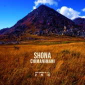 Chimanimani artwork