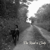 Roisin Ward Morrow - The Road to Clady (Live) [feat. Oisin McCann] artwork