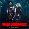 Whine Dangerous - Single album lyrics, reviews, download
