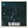 Valuri Mari song lyrics