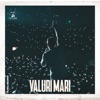 Valuri Mari - Single