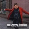 I Don't Wanna Dance - Shawn Hook lyrics