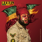 Rebel With A Cause (feat. Redman) artwork
