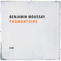 Benjamin Moussay - Promontoire artwork